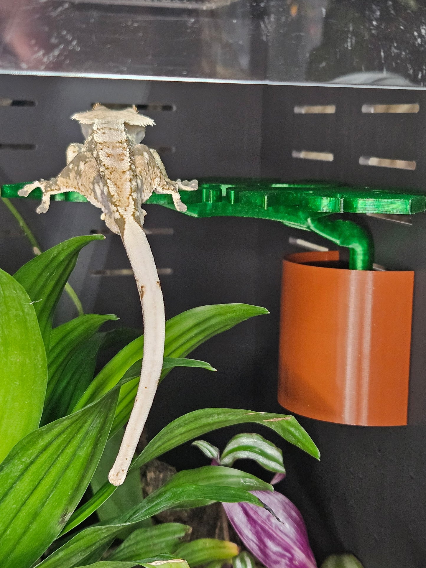 Monstera Leaf Ledge