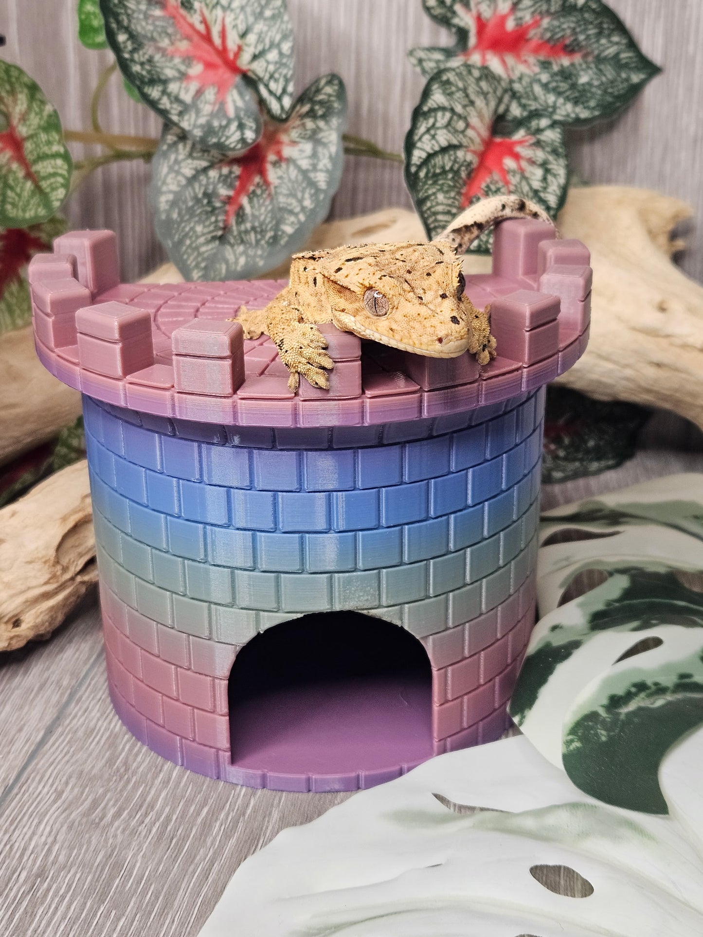 Castle Hide
