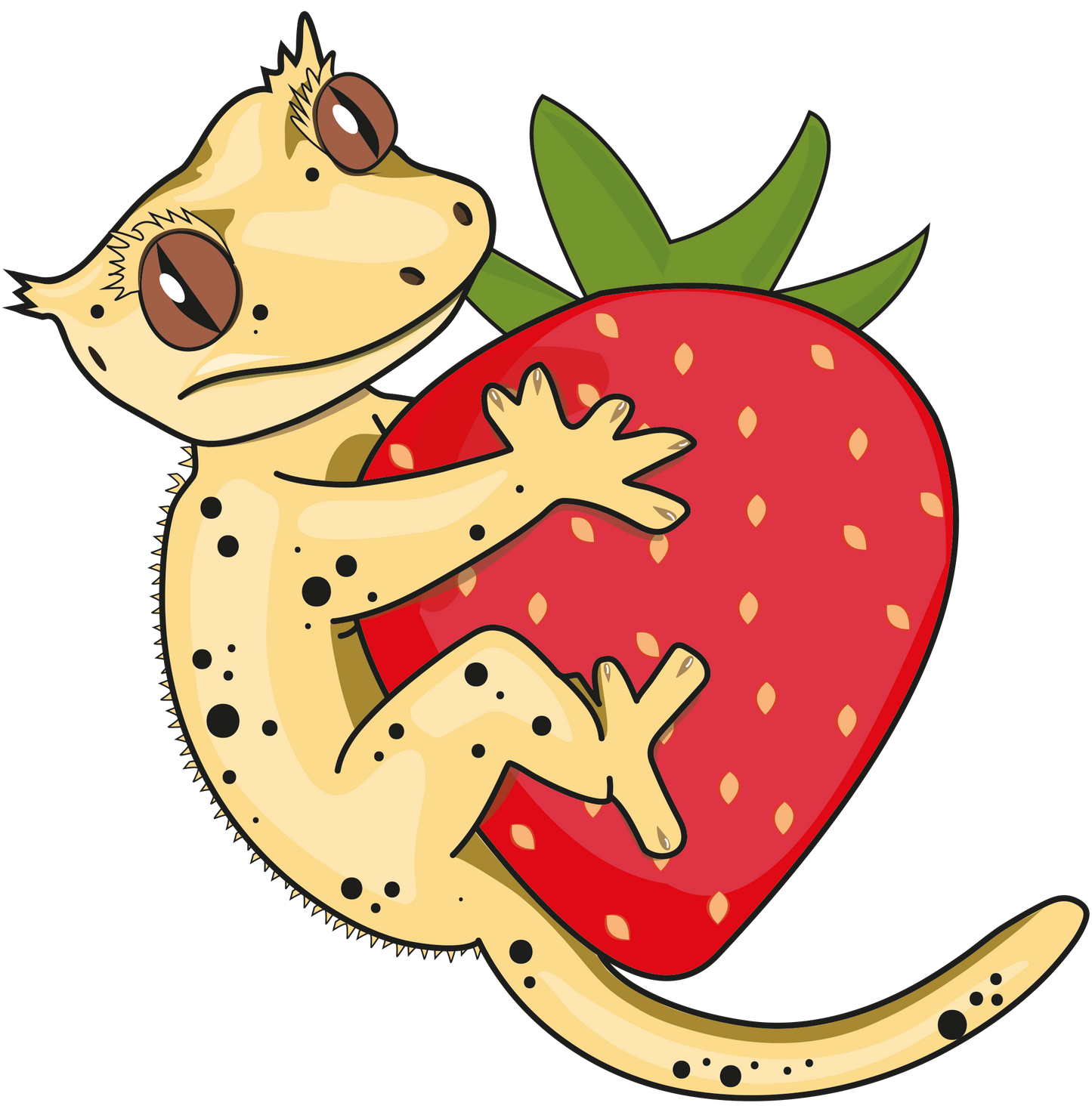 Strawberry Swirl Gecko Diet
