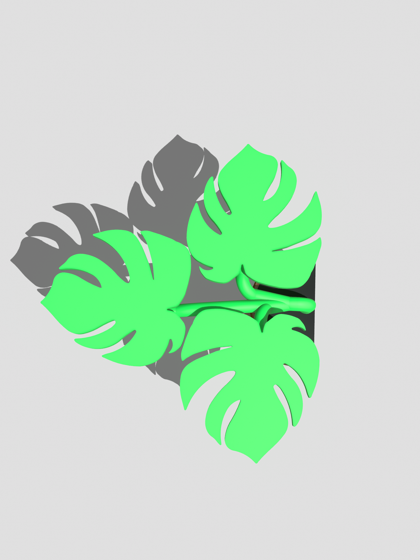 Monstera Leaf Ledge