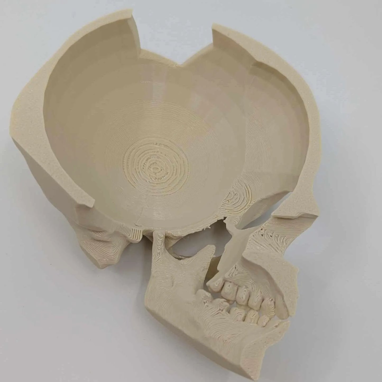 Side Skull Hide