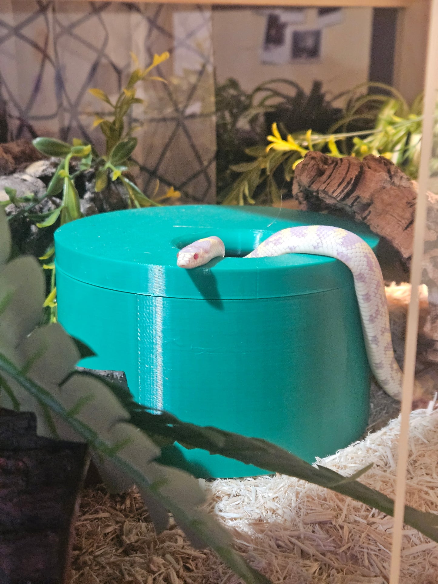 Humidity Hide/Lay Box