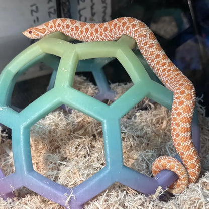 Climbing Enrichment Toy