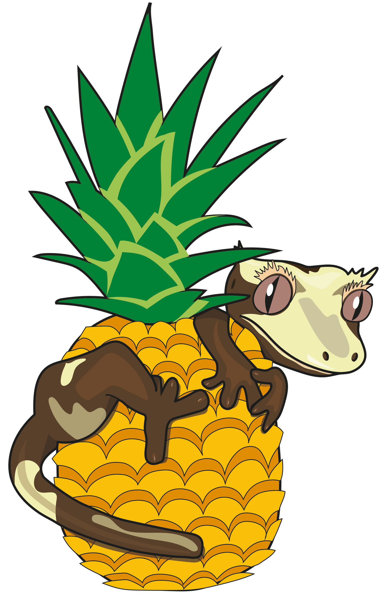 Pineapple Crush Gecko Diet