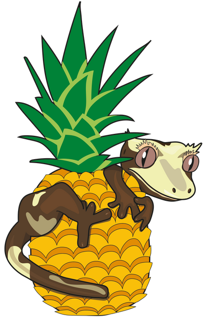 Pineapple Crush Gecko Diet