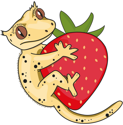 Strawberry Swirl Gecko Diet