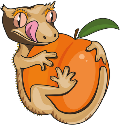 Peach Paradise Gecko Diet