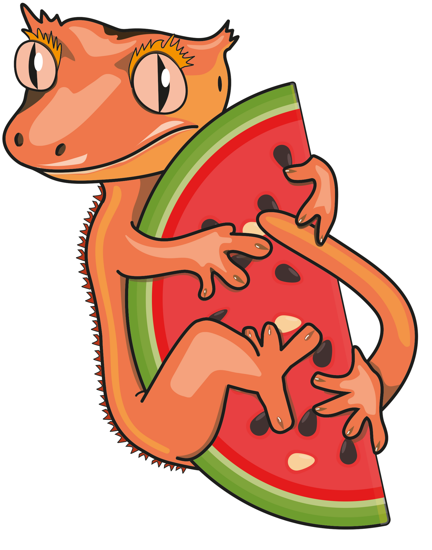 Watermelon Burst Gecko Diet