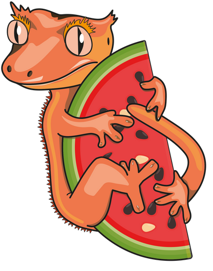Watermelon Burst Gecko Diet