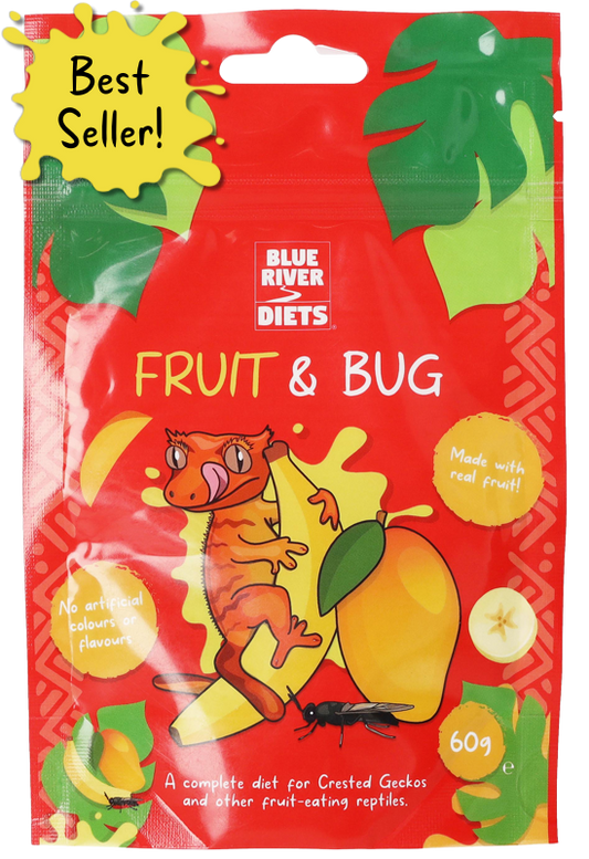 Fruit and Bug Gecko Diet