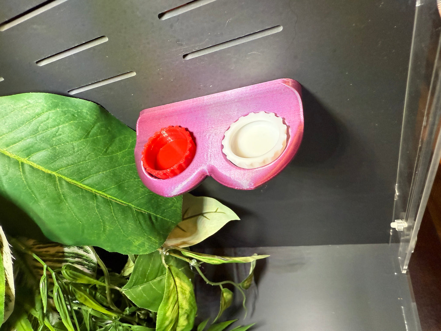 Bottle Cap Reusable Feeding Cups