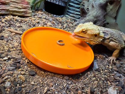 Feeding Plates