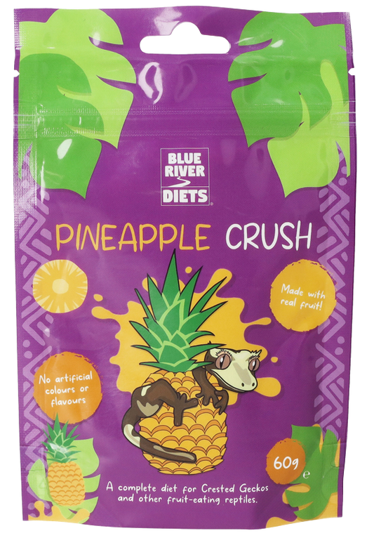 Pineapple Crush Gecko Diet