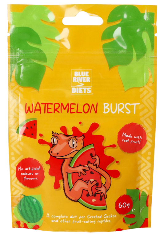 Watermelon Burst Gecko Diet