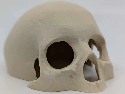 Top Skull Hide