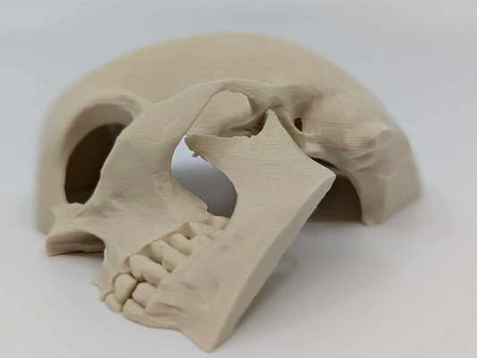 Side Skull Hide