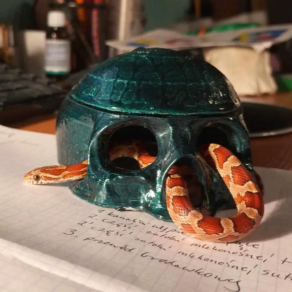 Top Skull Hide