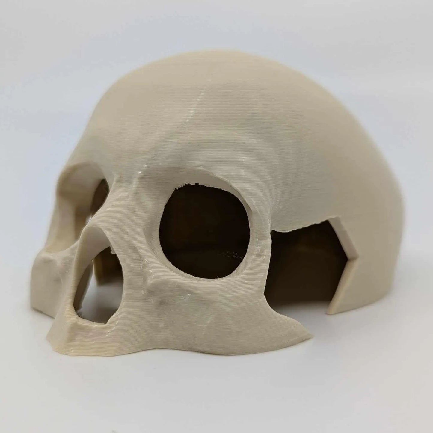 Top Skull Hide