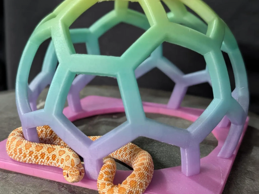 Climbing Enrichment Toy